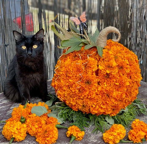 Signature Floral Pumpkin