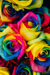 Rainbow Rose Bouquet