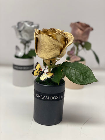 Signature Mini Dream Roses